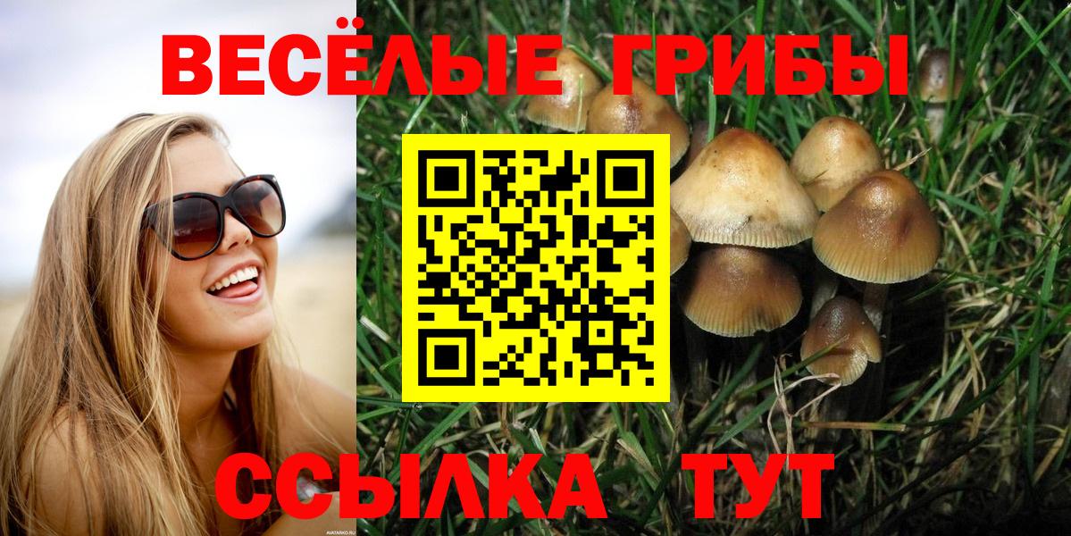 Галлюциногенные грибы прущие грибы  Вход с VPN  Евпатория 