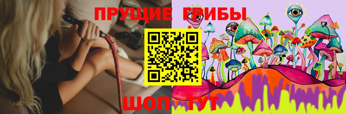 Галлюциногенные грибы GOLDEN TEACHER Евпатория